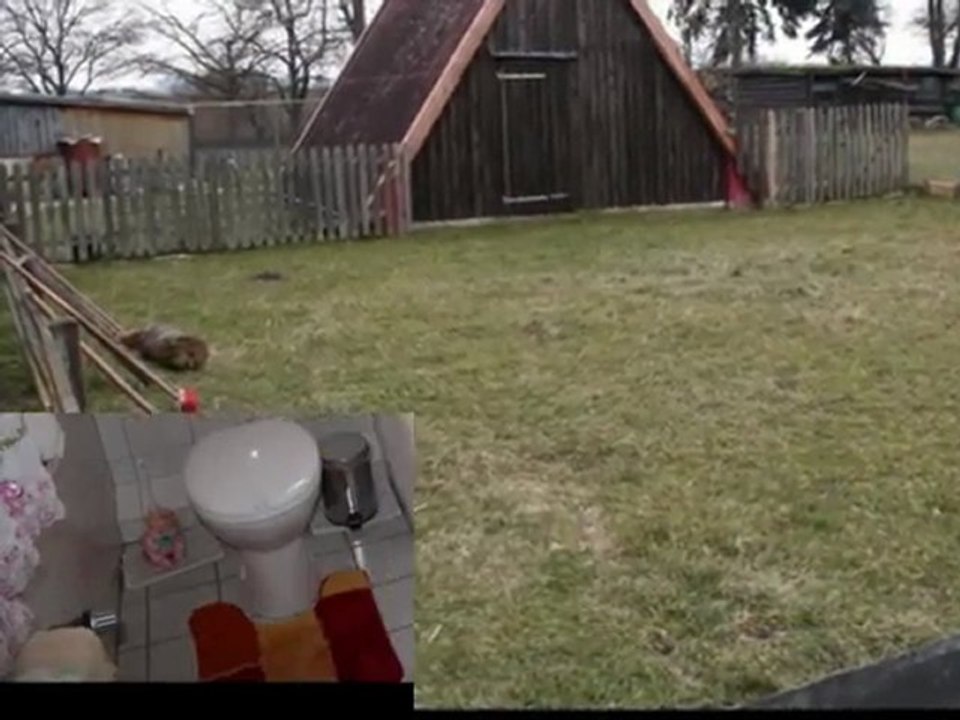 Einfamilienhaus in Hohenhameln-Harber