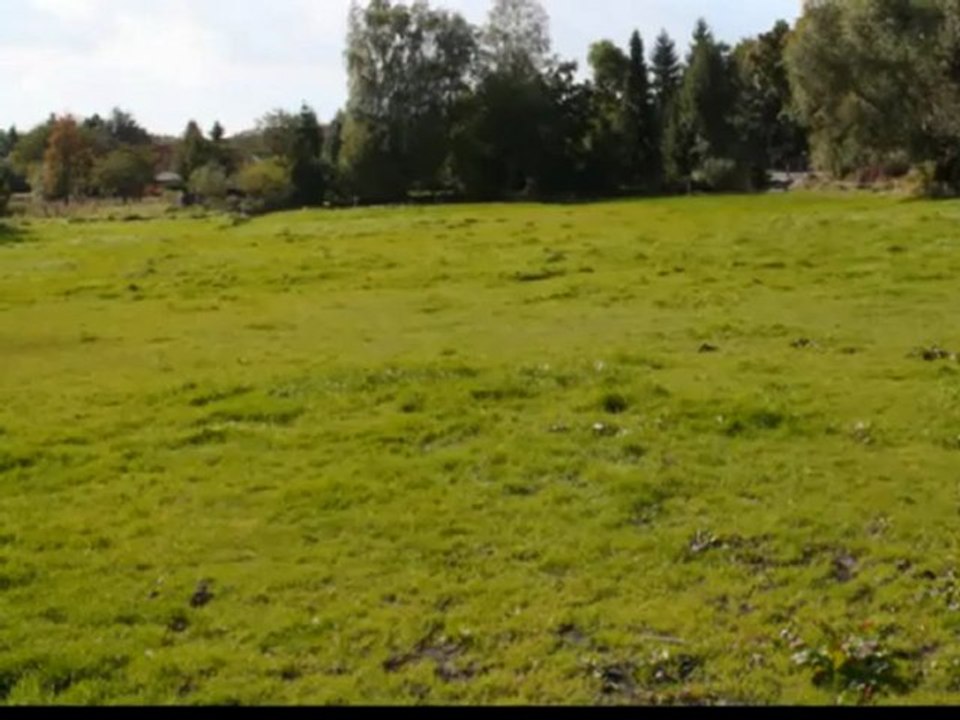 Grundstück in uetze-dedenhausen