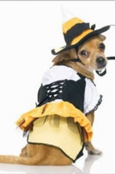 Candy Corn Witch Halloween Costume