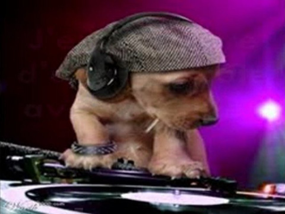FAST & FURIOUS DJ PARTY vendredi 27 mai