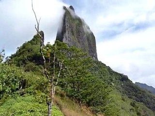 Mooréa Col des 3 cocotiers
