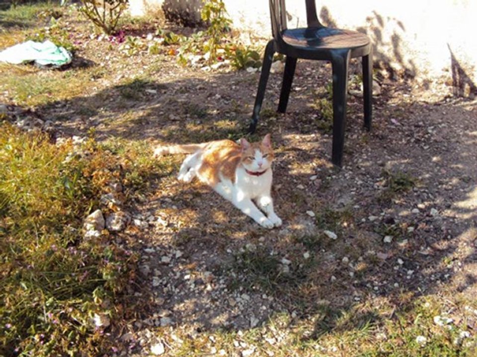 qques photos méli-mélo ....