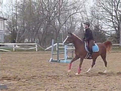 Ma ju et moi, lors de notre cours du 15 mai 2011, c'était nos premières fois à toutes les 2 qu'on prenait un obstacle au galop