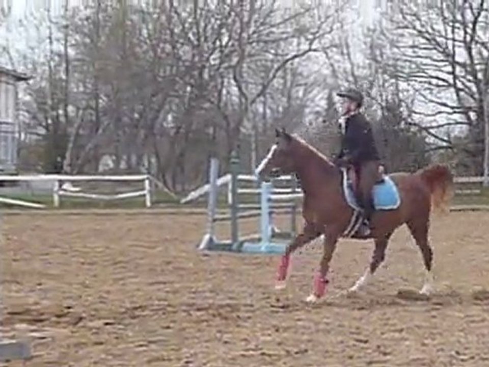 Ma ju et moi, lors de notre cours du 15 mai 2011, c'était nos premières fois à toutes les 2 qu'on prenait un obstacle au galop