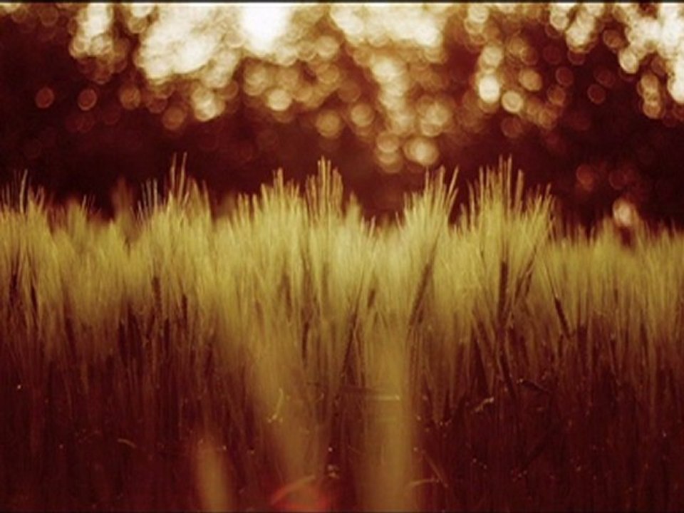 SubhanAllah / Maher Zain feat Mesut Kurtis