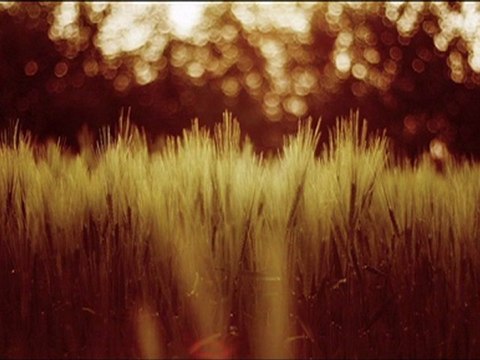 SubhanAllah / Maher Zain feat Mesut Kurtis