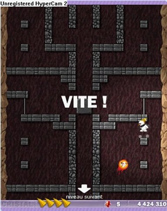Bug dim51