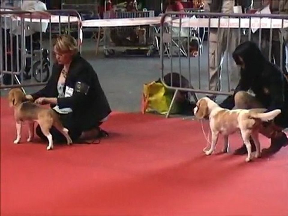Expo Pontoise 14.05.11 MADDY