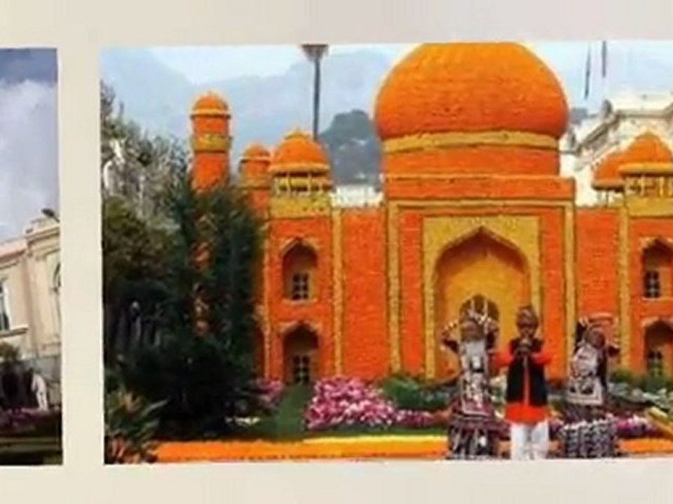 صور من مهرجان البرتقال في هولندا