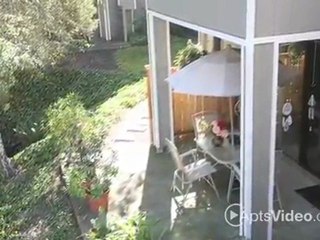 Woodlake Apartments in Portland, OR - ForRent.com