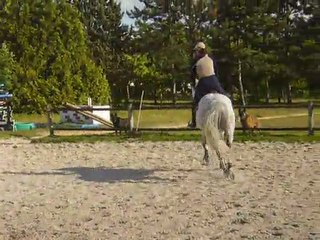 OR DU FIGUIER - 14/05/2011 - TRAVAIL AU TROT