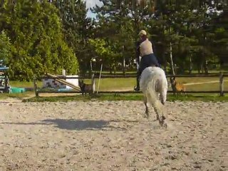 OR DU FIGUIER - 14/05/2011 - TRAVAIL AU GALOP