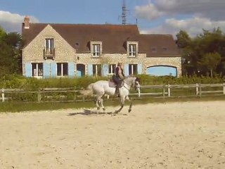 OR DU FIGUIER - 14/05/2011 - TRAVAIL AU GALOP