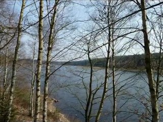 Année 2011 - mois de mars - nº 17