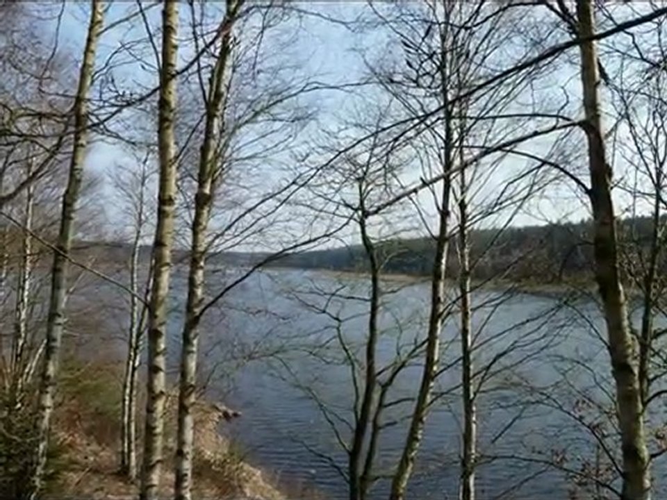 Année 2011 - mois de mars - nº 17