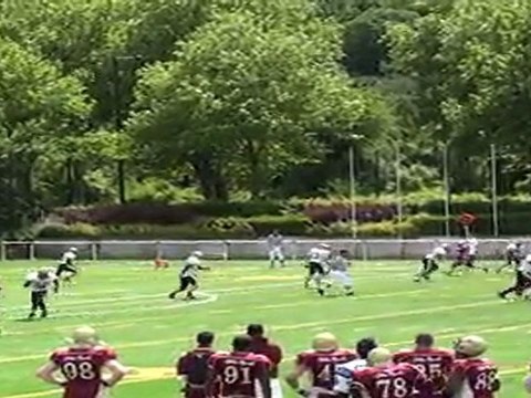 Templiers Vs Cougars (10ème Journée) - Réception #17