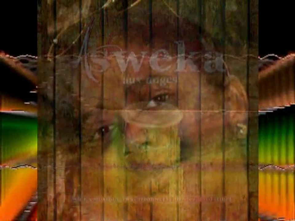asweka n°2
