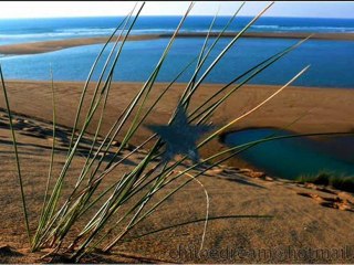 ~~ SAUDADE DO MOULAY BOUSSELHAM ~~