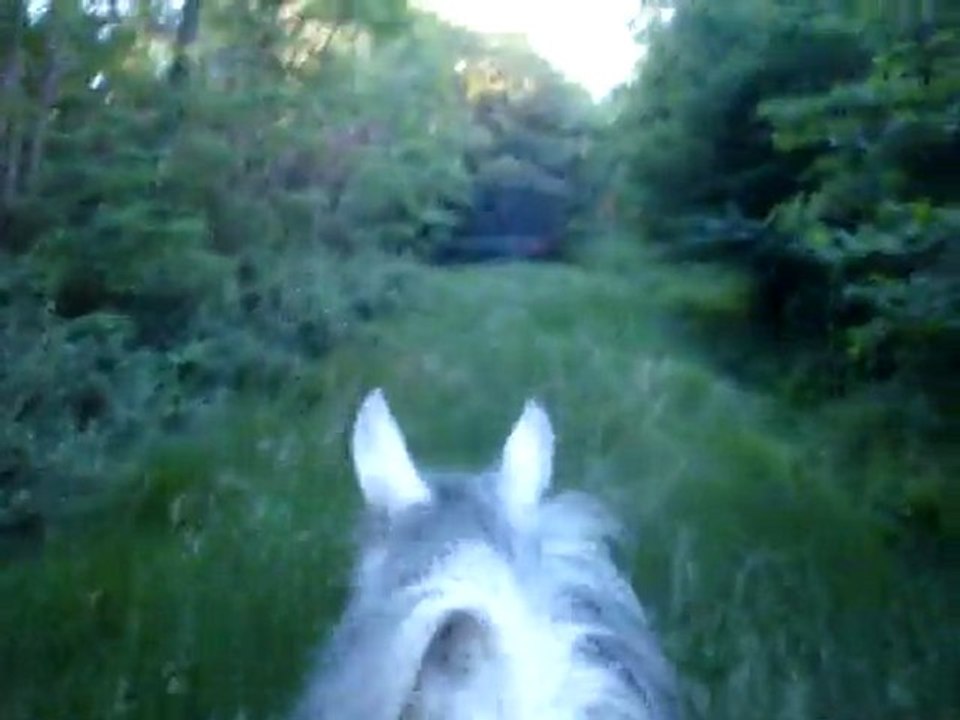 Viela balade 16 mai 2011 5