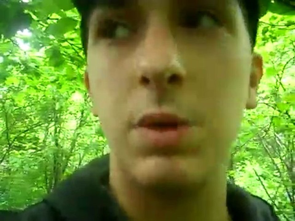 Random Rants on Soulja Boy And Lil Wayne and Fred Part One