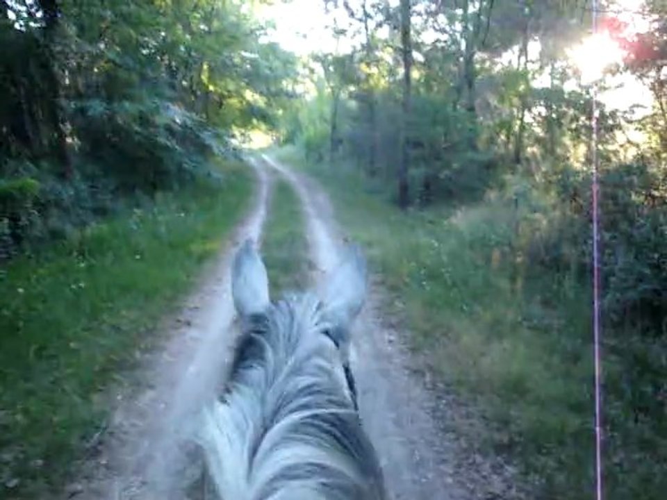 Viela balade 16 mai 2011 6