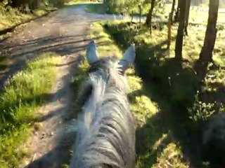 Viela balade 16 mai 2011 7