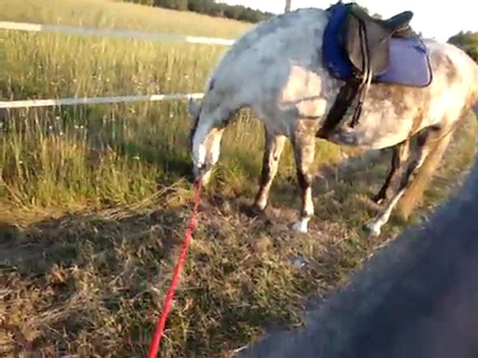 Viela balade 16 mai 2011 9