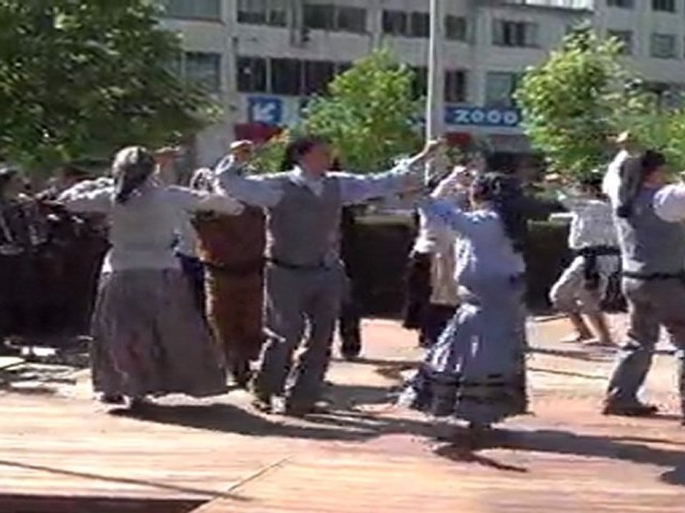RANCHO ROSAS DA ALEGRIA SISMARIA-DESFILE ETNOGRÁFICO DE LEIRIA 2011