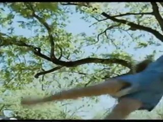 Serge Kagansky sur la croisette decrypte "The tree of life"