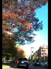 Driving to the Capitol see Peter