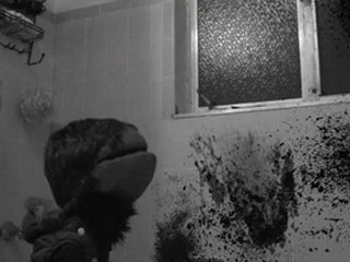 Mr. Tinkles - Official Theatrical Trailer - IGEYL