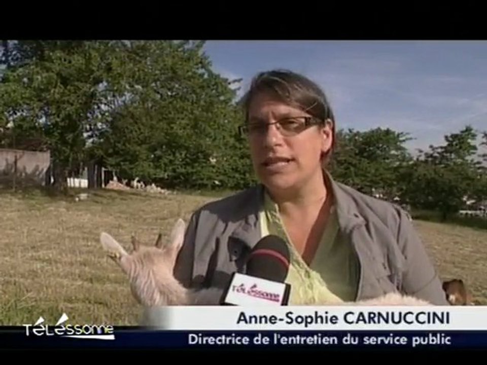 Télessonne - Le JT du 16/05/2011