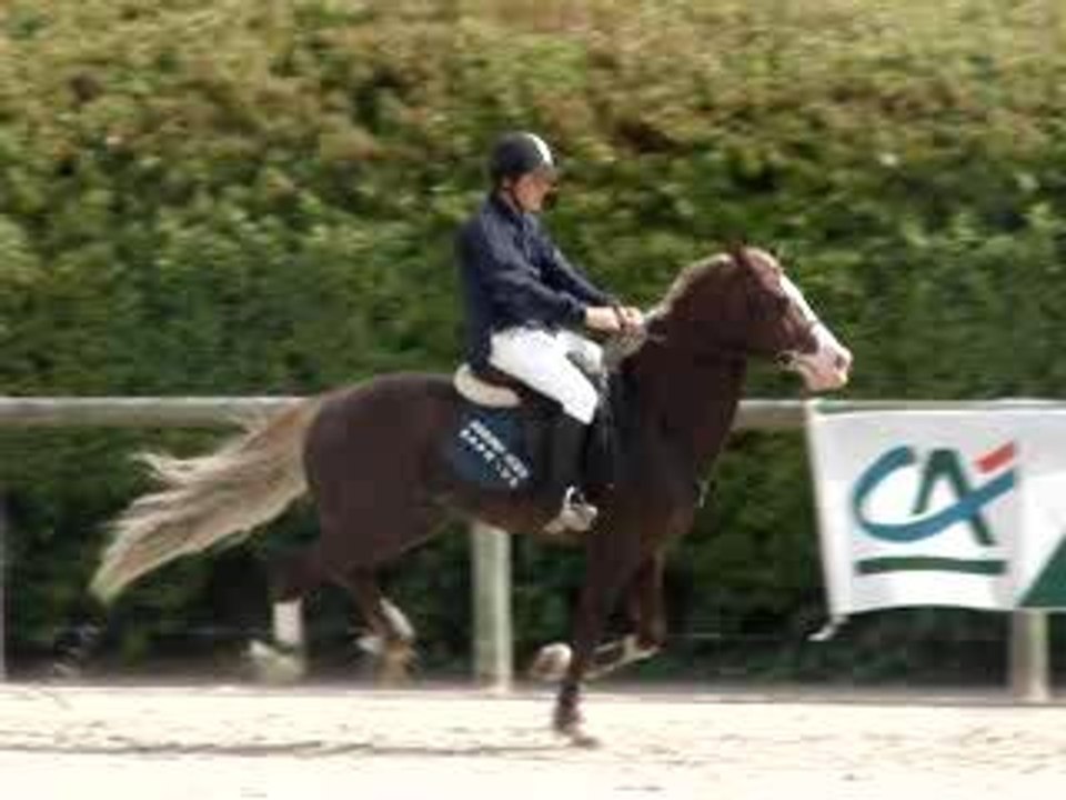 HAVANE WELSH ET AYMERIC AZZOLINO