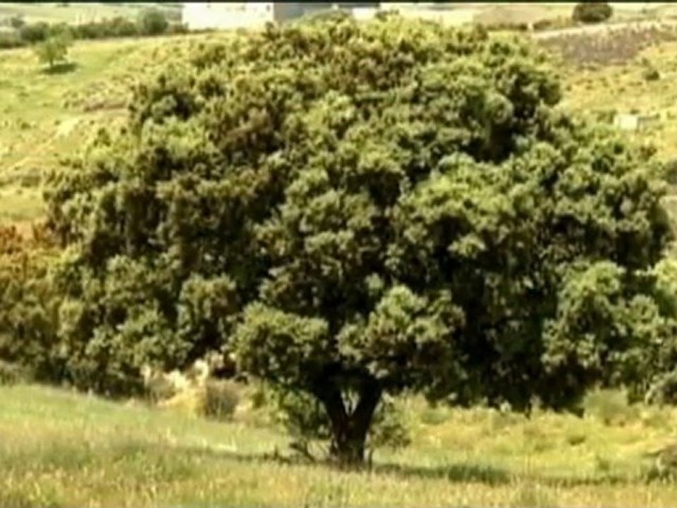 Ryder Cup 2018 - Spanien baut auf Geschichte