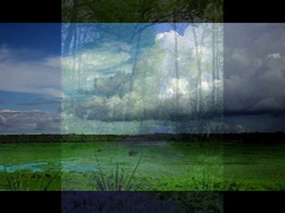 Beautiful Earth