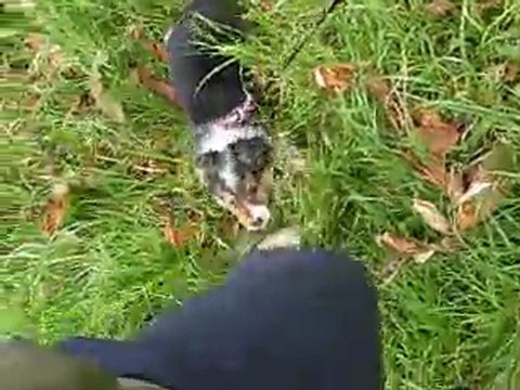 kaipi aime les pantalons