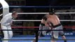 Boxe : Teddy Poiraud vs Anthony Tamisier (Les Sables)