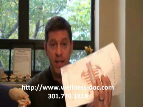 Chiropractic Care Rockville - Diagnosis for Scoliosis