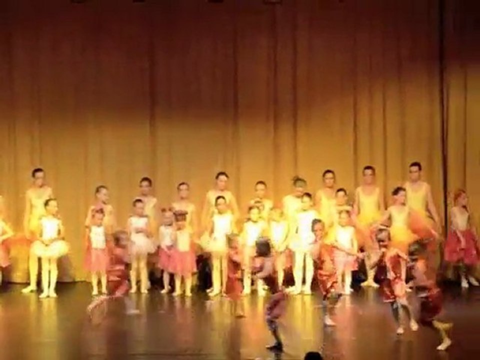 Gala de danse 2011