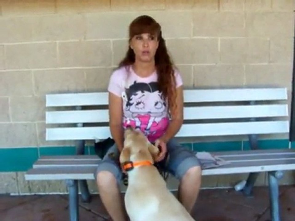 YouTube - Proper use of Electronic- E-collars Dogtra-1