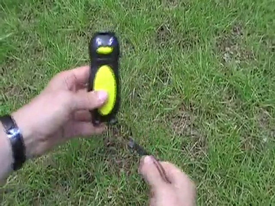 Lampe torche Dynamo LED PENGUIN