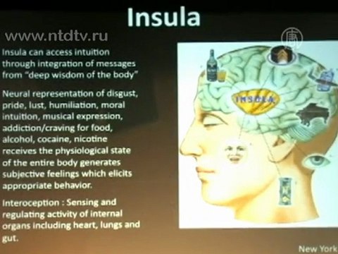 Далай-Лама принял участие в миротворческом саммите