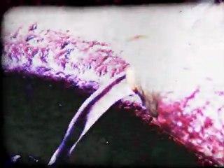 imagenes prueba documental