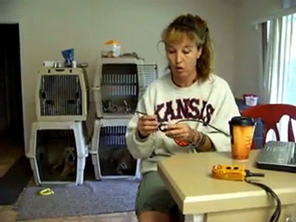 YouTube - How to Stop Barking Dogtra