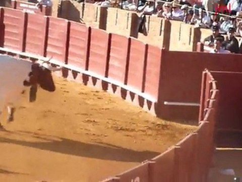 CORRIDA DE MIURA A SEVILLE - 8 MAI 2011