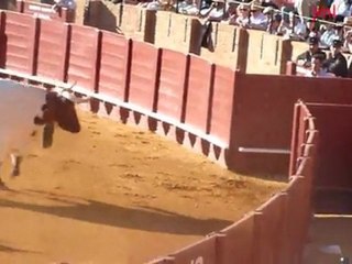 CORRIDA DE MIURA A SEVILLE - 8 MAI 2011