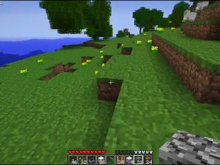 Videotest Minecraft