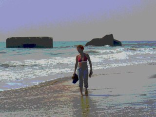 Vole mon oiseau blanc