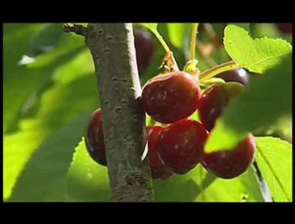 AK PARTİ TARIM İCRAATLARI