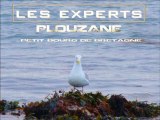 Les Experts plouzané (petit bourg de Bretagne)